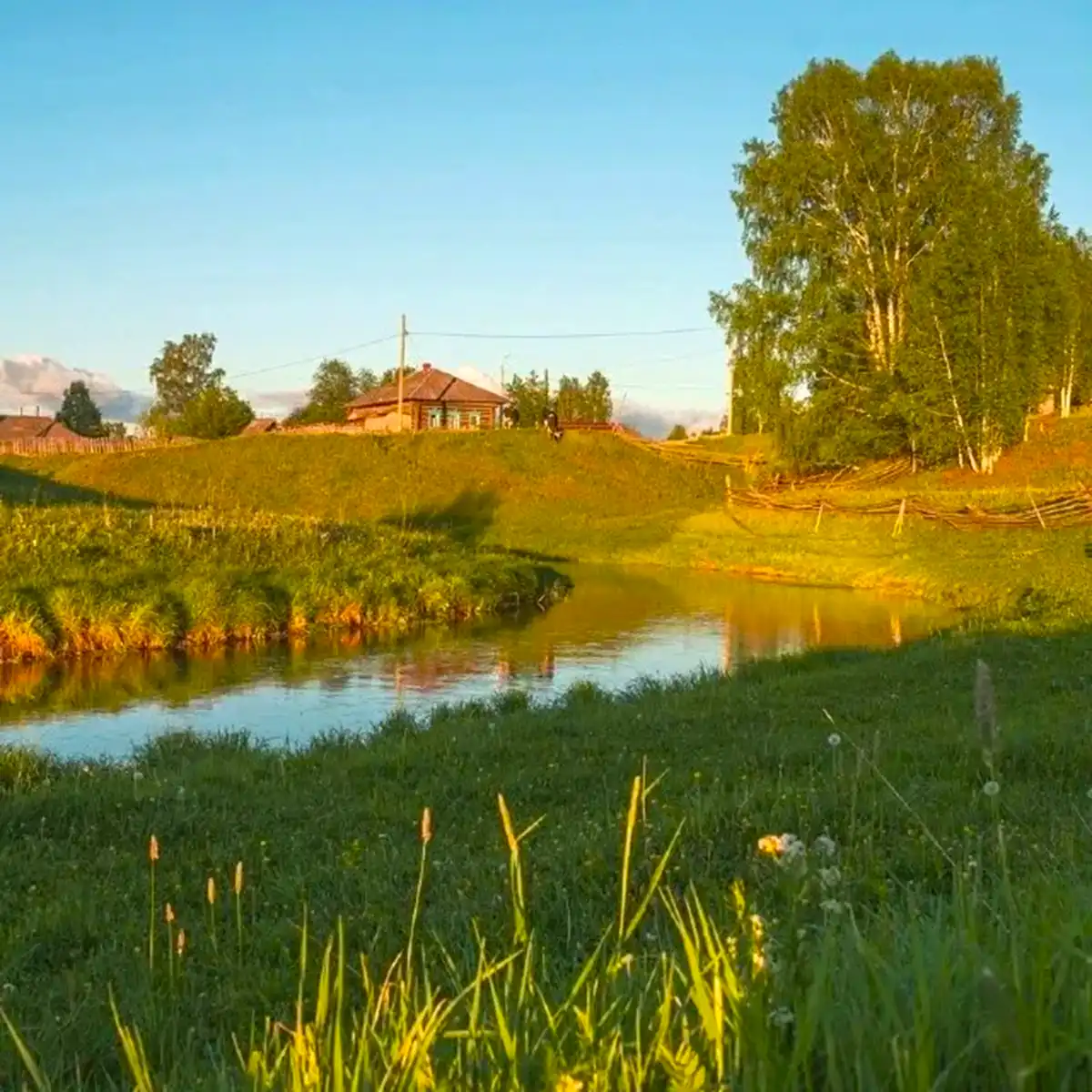 Ёгва: Окружающая природа