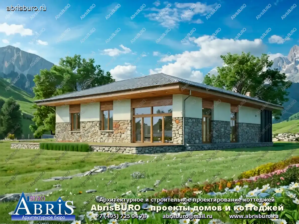 Задний фасад дома