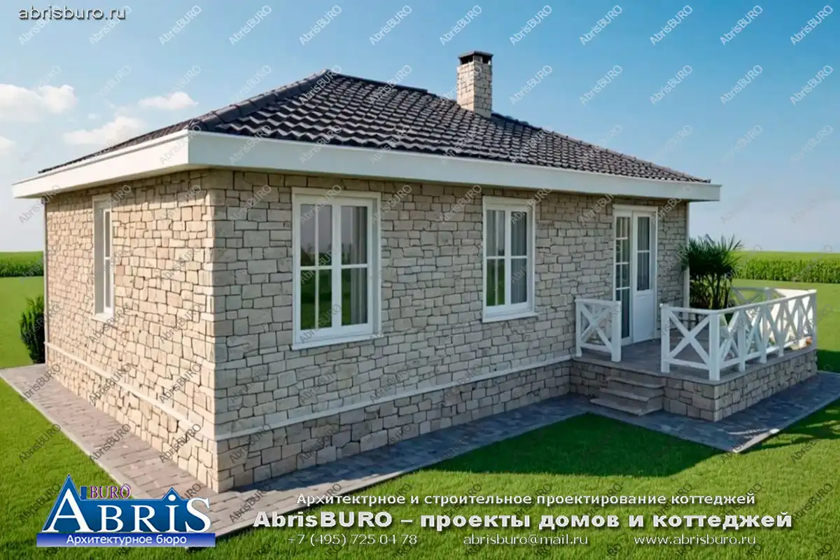 Вид на заднюю часть дома