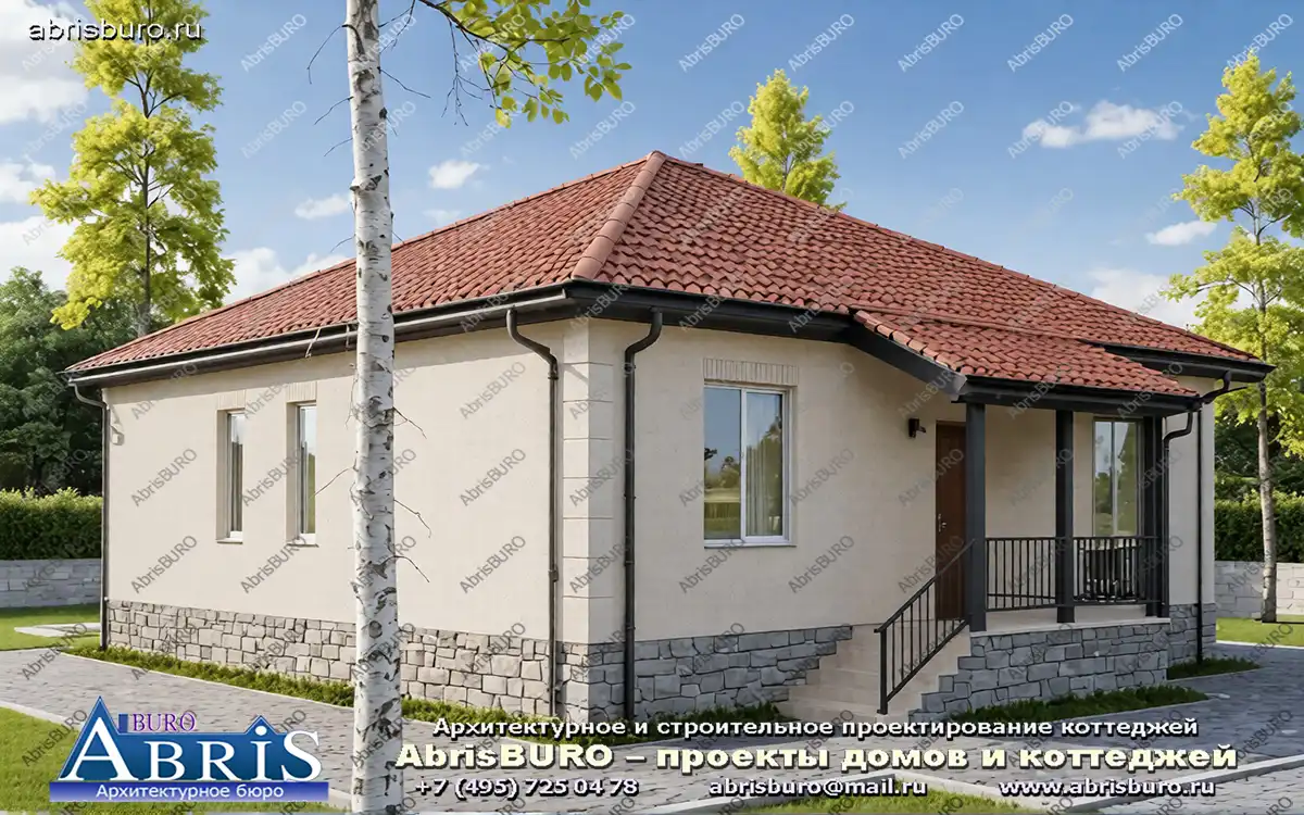 Главный фасад дома